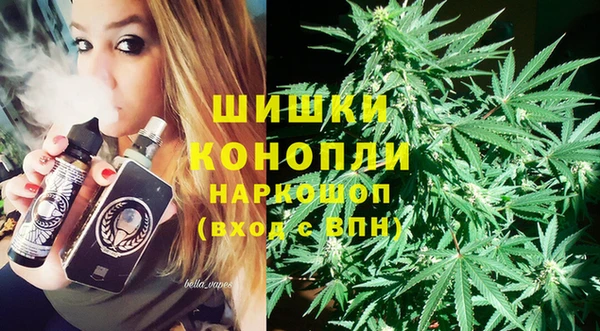 гидропоника Ельня